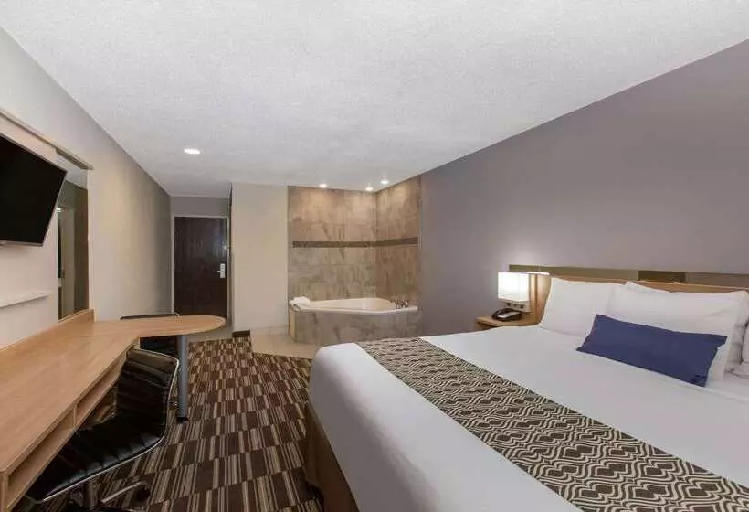 Microtel Inn & Suites By Wyndham Augusta/riverwatch