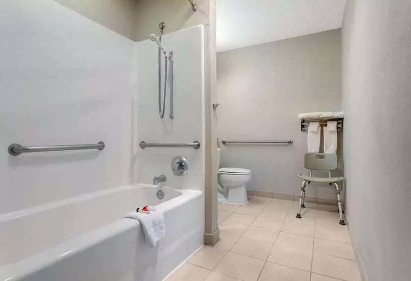 Microtel Inn & Suites By Wyndham Philadelphia Airport