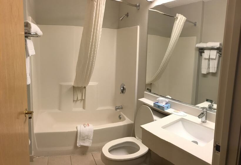 Microtel Inn & Suites By Wyndham Philadelphia Airport