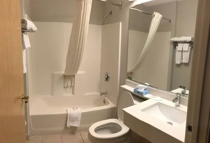 Microtel Inn & Suites By Wyndham Philadelphia Airport