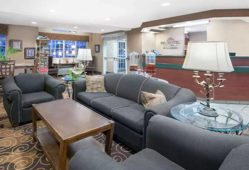 Microtel Inn & Suites By Wyndham Rapid City