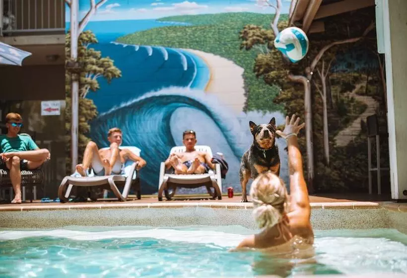 Retkeilymaja Noosa Flashpackers