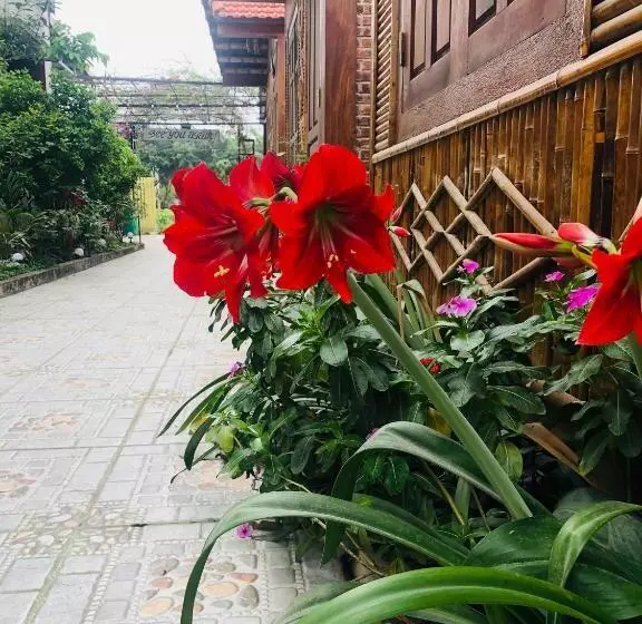 تختخواب و صبحانه Tam Coc The Moon Lady Homestay