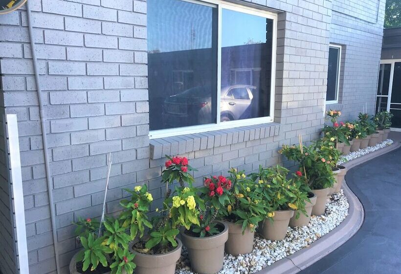 汽车旅馆 Toukley Motor Inn