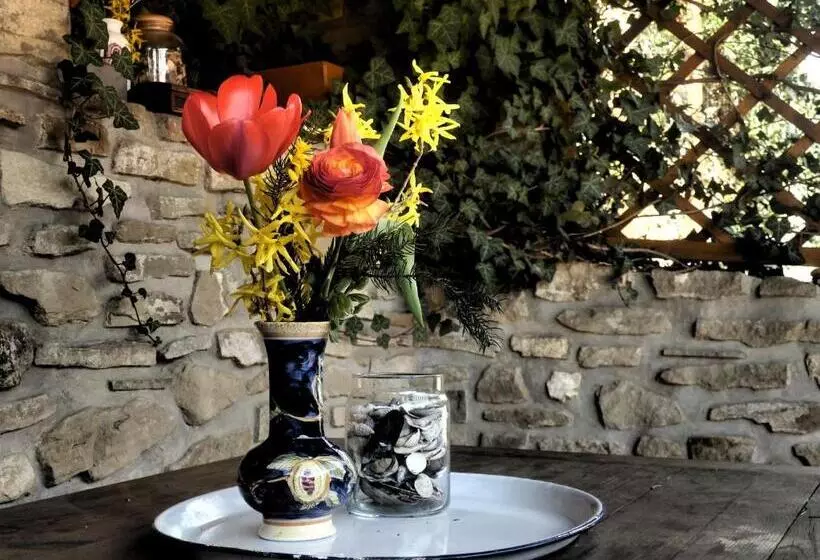 پانسیون Penzión Pod Bránou