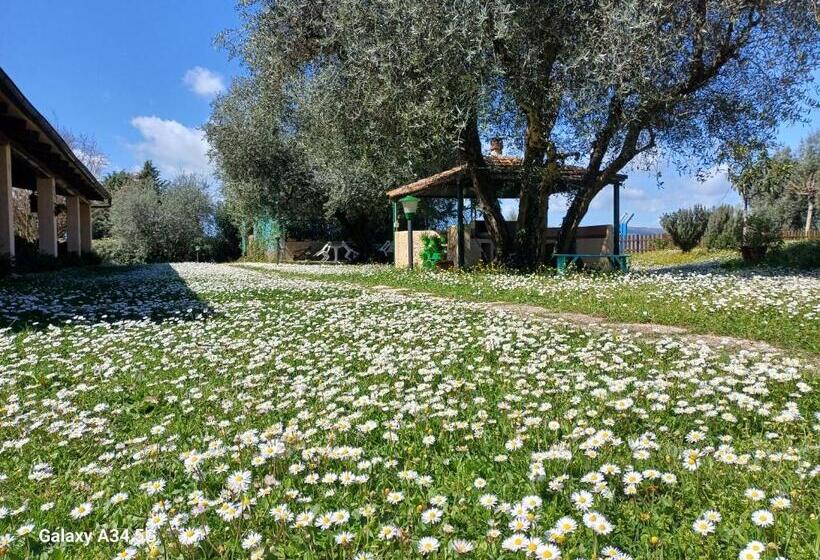 בית מלון כפרי Agriturismo Bio Pian Dei Casali