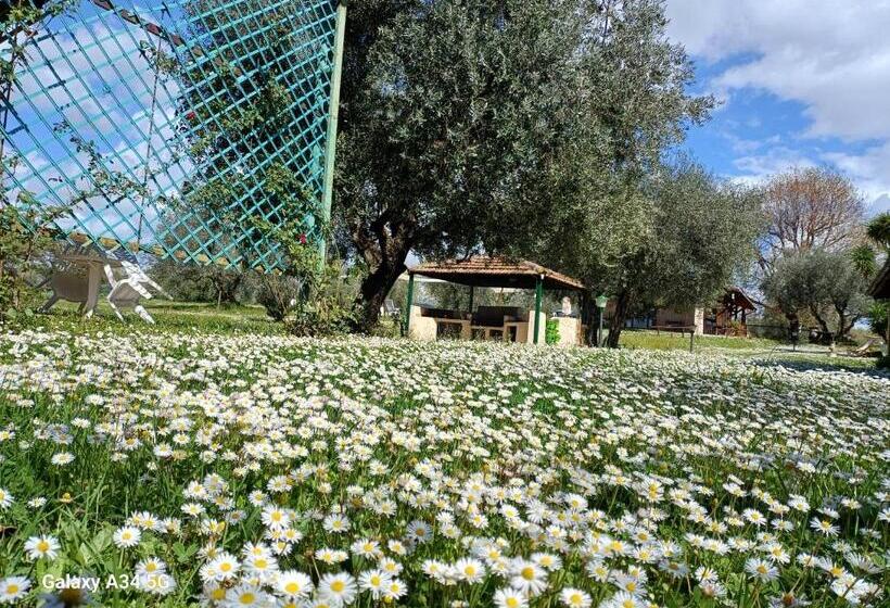 בית מלון כפרי Agriturismo Bio Pian Dei Casali