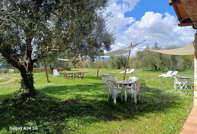 בית מלון כפרי Agriturismo Bio Pian Dei Casali