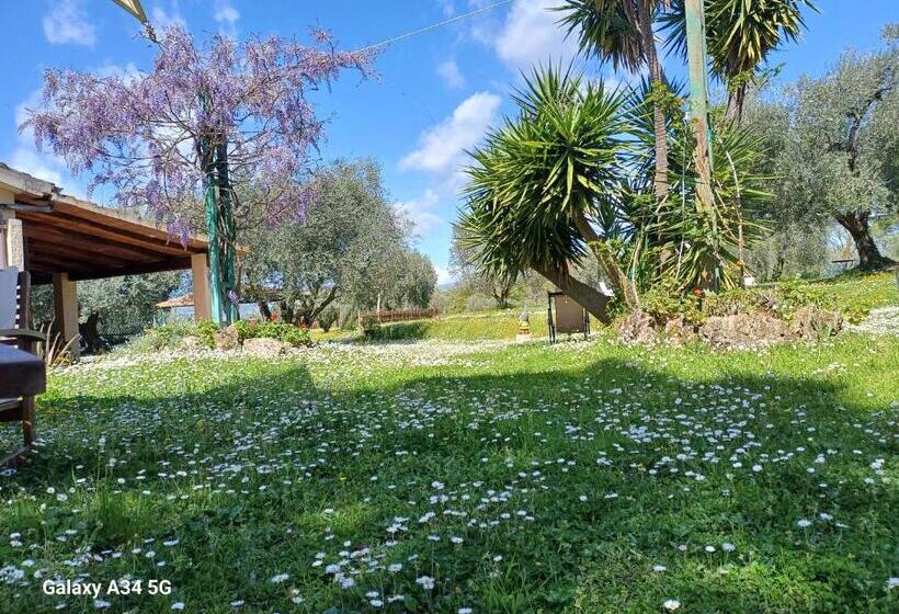 בית מלון כפרי Agriturismo Bio Pian Dei Casali