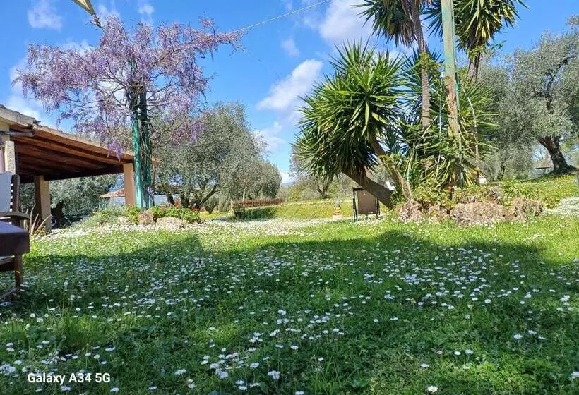 ホテル Agriturismo Bio Pian Dei Casali