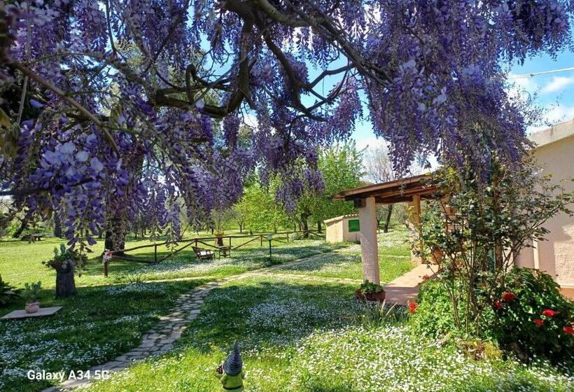 בית מלון כפרי Agriturismo Bio Pian Dei Casali