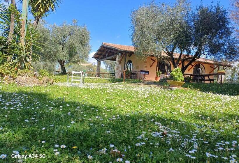 בית מלון כפרי Agriturismo Bio Pian Dei Casali