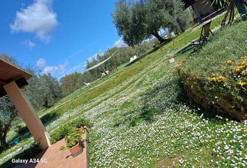 בית מלון כפרי Agriturismo Bio Pian Dei Casali