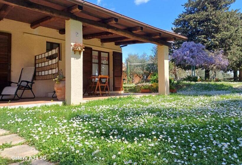 בית מלון כפרי Agriturismo Bio Pian Dei Casali