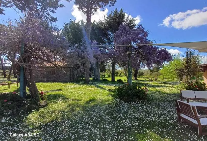 ホテル Agriturismo Bio Pian Dei Casali
