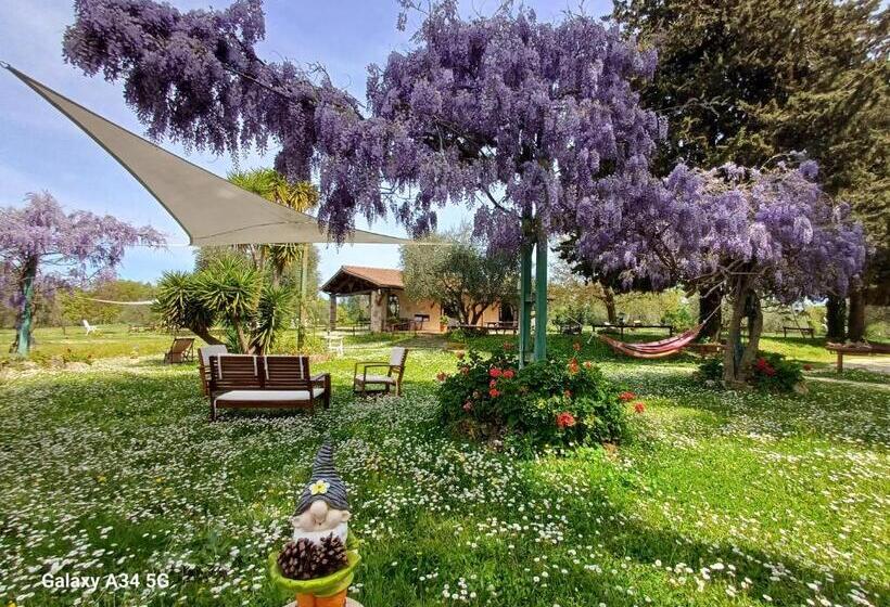 בית מלון כפרי Agriturismo Bio Pian Dei Casali