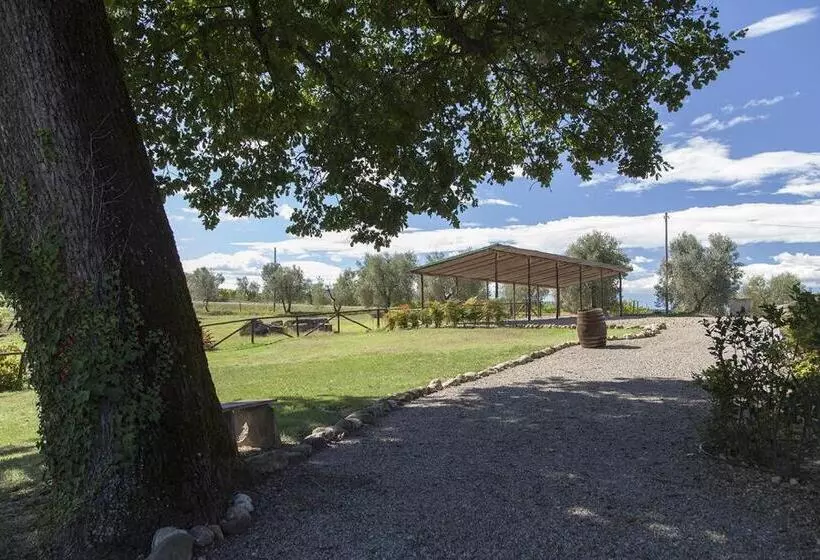 ホテル Agriturismo Pieve De Pitti