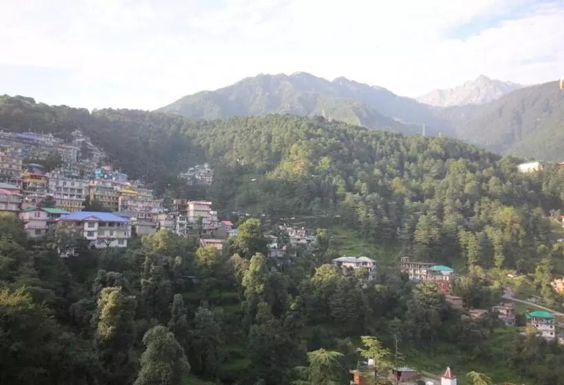 Mcleod Ganj Best Hotel Royal India #cheapest Hotel #mountain View# Near Dalai Lama Temple 100m