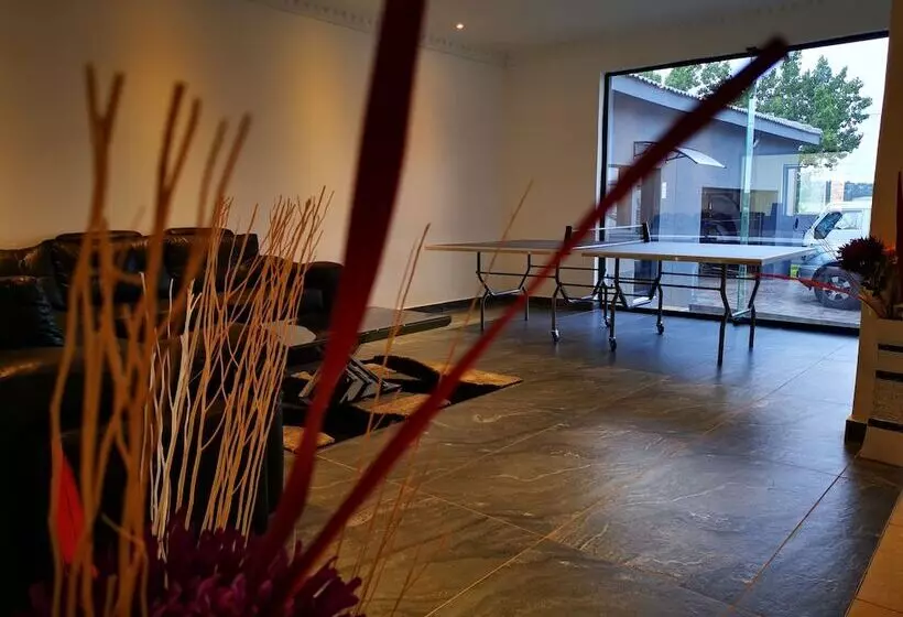 Majatalo Green Olive Panorama