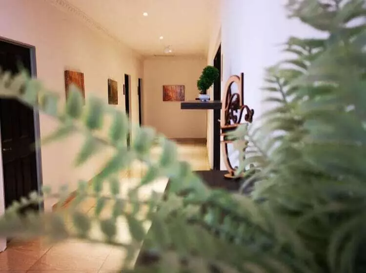 Majatalo Green Olive Panorama