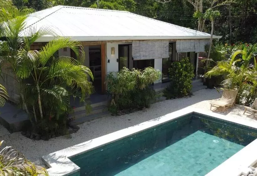 Majatalo Lapislazuli House & Flats With Shared Pool