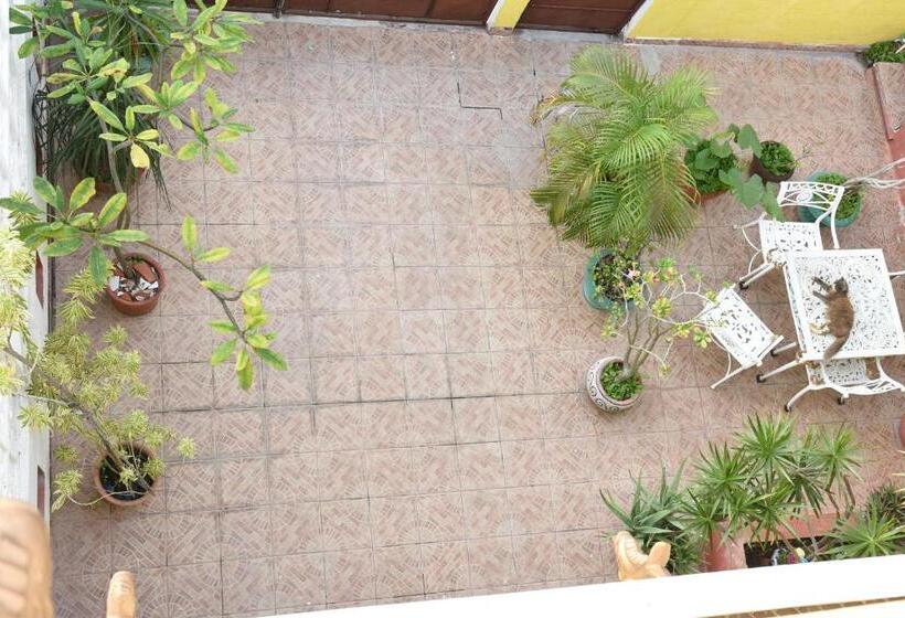 مبيت وإفطار Cancun Guest House 6