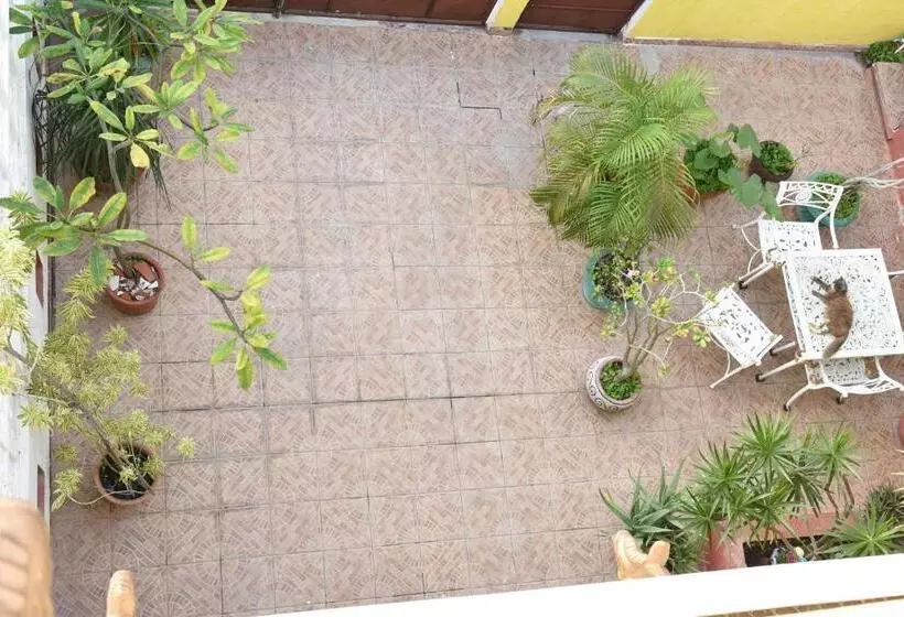 تختخواب و صبحانه Cancun Guest House 6