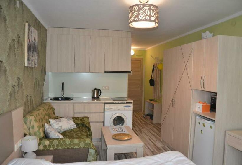 هتل Orbi Palace Deluxe Bakuriani Room 406