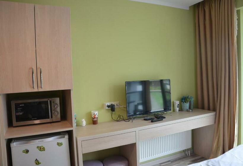 هتل Orbi Palace Deluxe Bakuriani Room 406