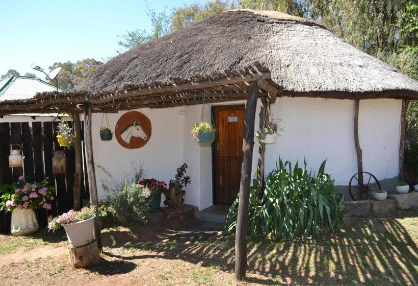 펜션 Rusplaas Guest Farm