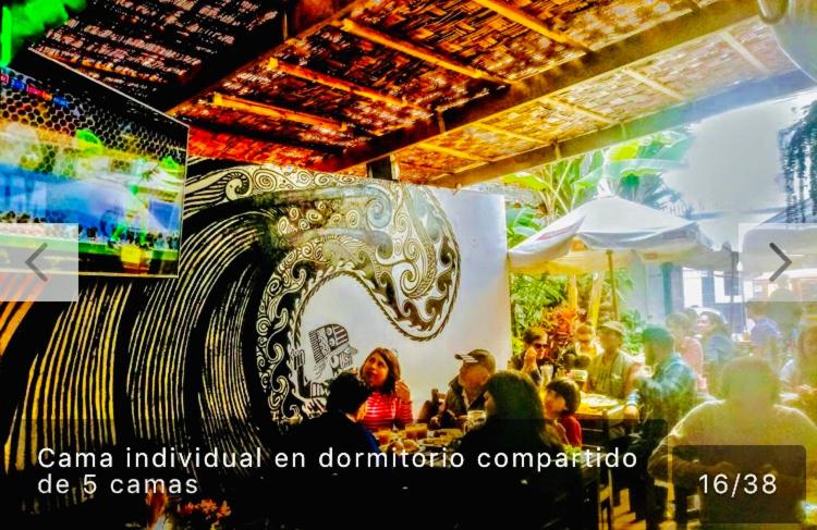 Surf Hostel My Friends