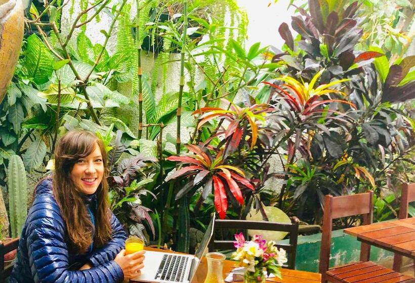 Surf Hostel My Friends