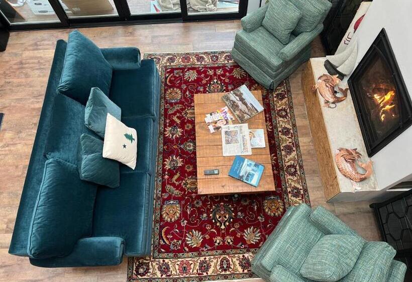 הוסטל Canterbury Suites B&b