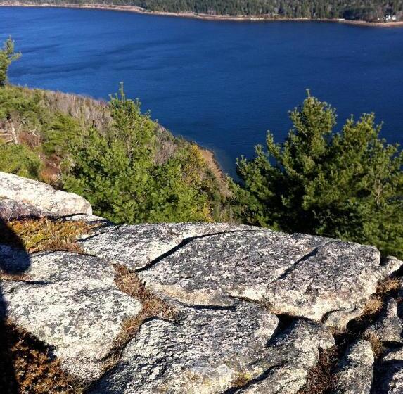 הוסטל Canterbury Suites B&b