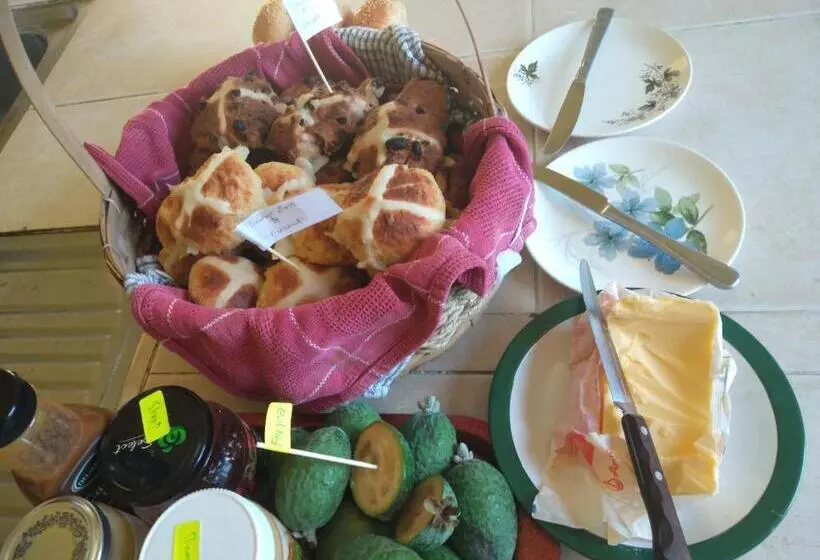 هاستل Jack's Backpackers