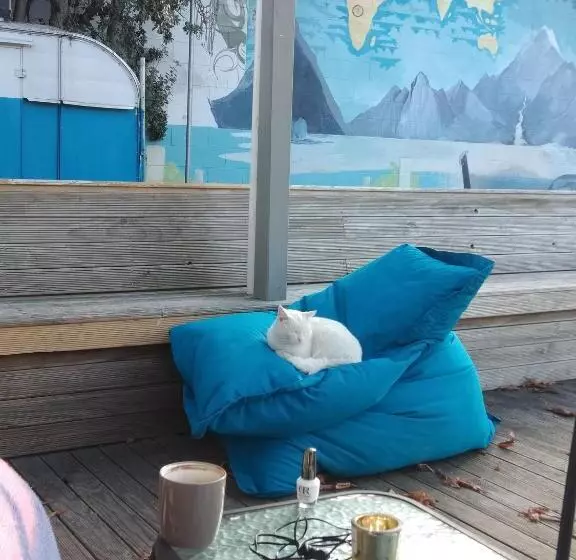 هاستل Jack's Backpackers