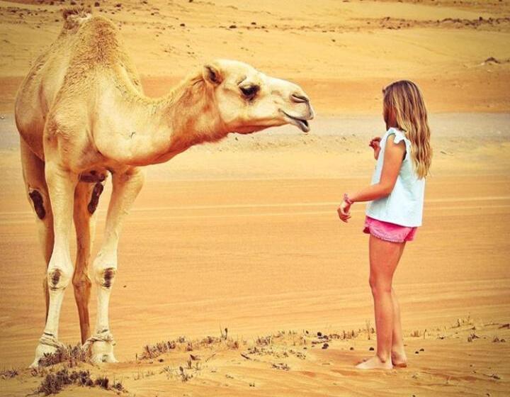 Bed and Breakfast Erg Chegaga Nomad Tour