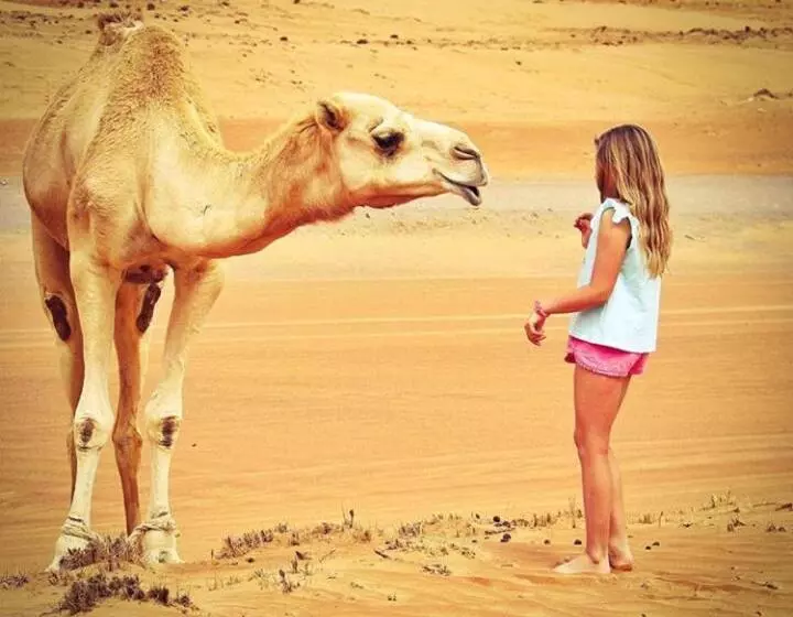 Aamiaismajoitus (B&B) Erg Chegaga Nomad Tour