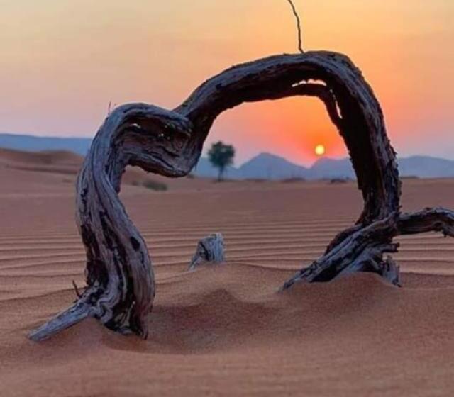 Bed and Breakfast Erg Chegaga Nomad Tour