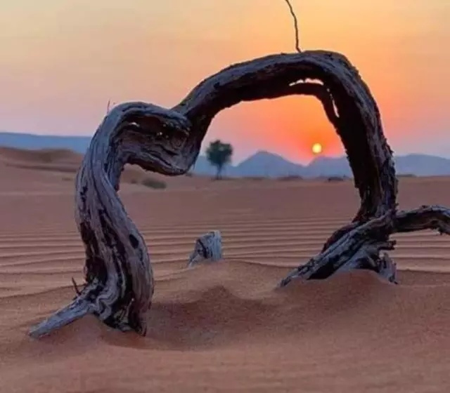 Aamiaismajoitus (B&B) Erg Chegaga Nomad Tour