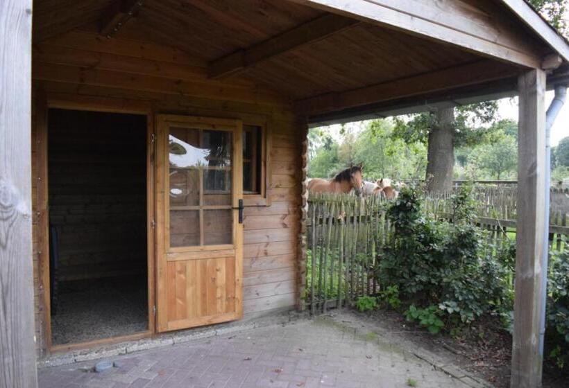 בית מלון כפרי Groepsboerderij 20 Pers