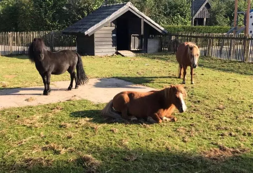 Hotelli Groepsboerderij 20 Pers