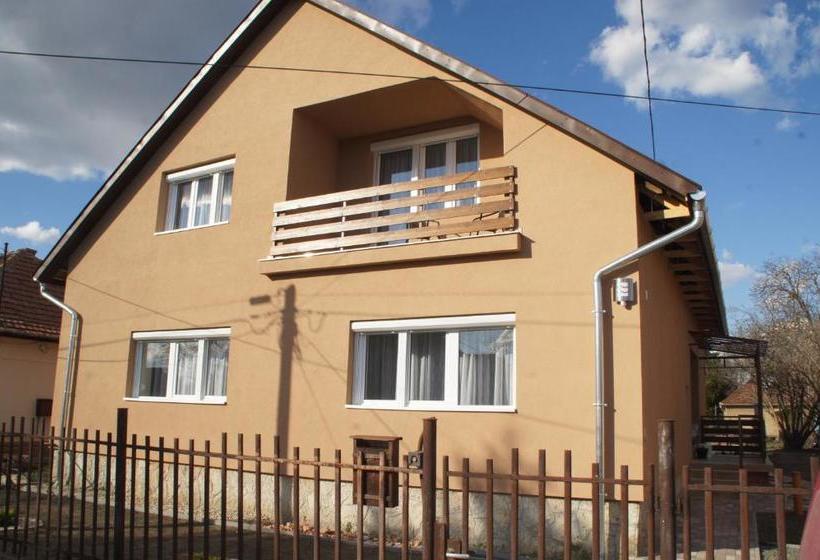 بنسيون Pacsirta Apartman