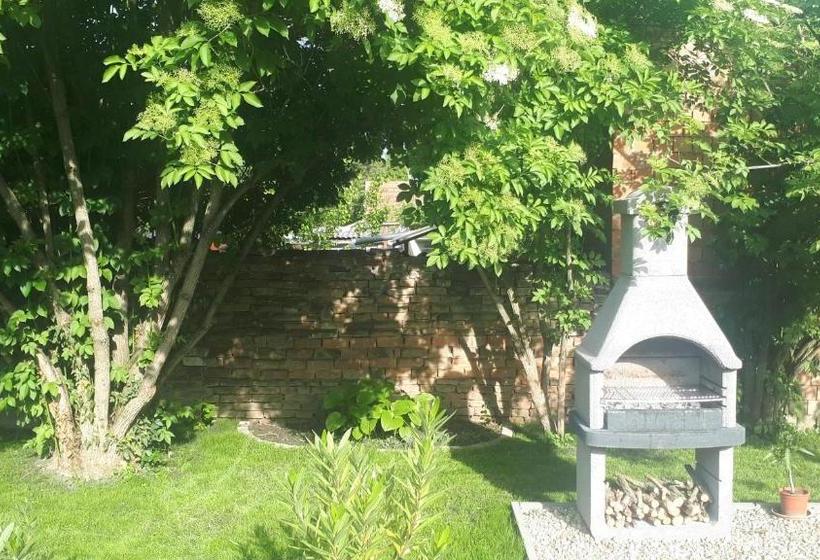 بنسيون Pacsirta Apartman