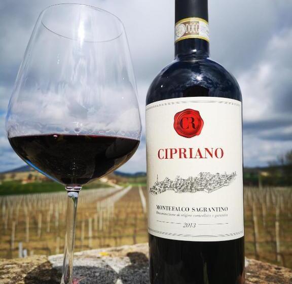 צימר Casale Rialto