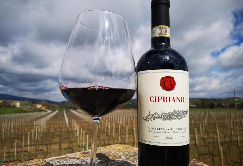 צימר Casale Rialto