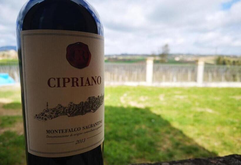 צימר Casale Rialto