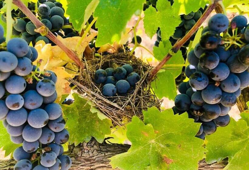 צימר Casale Rialto