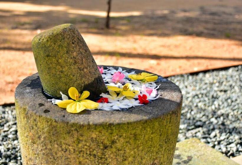 Hotel Aliya Aliya Hikkaduwa