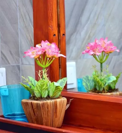 ホテル Aliya Aliya Hikkaduwa